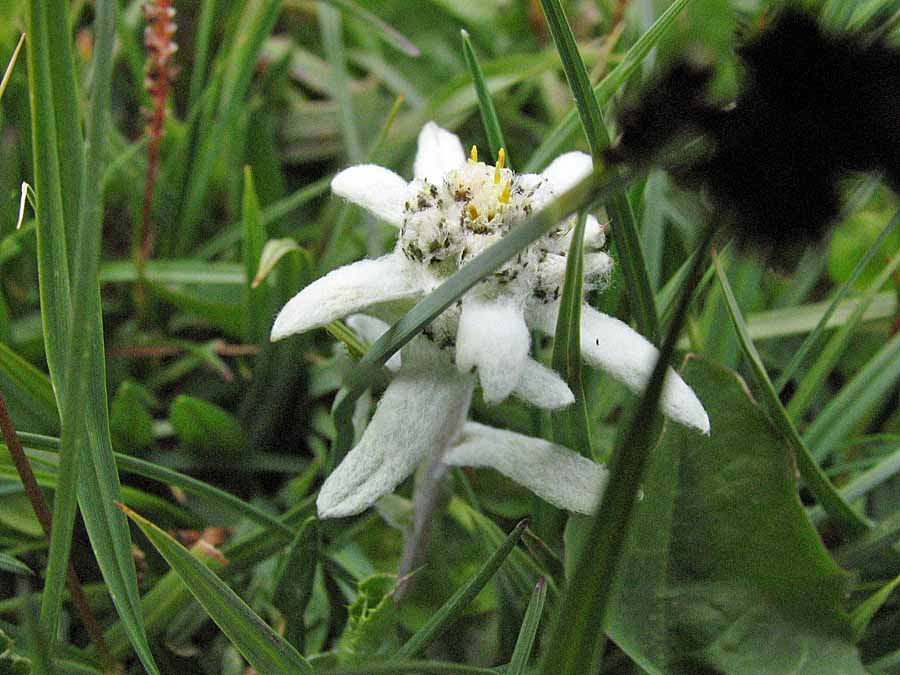 IMG_3193aa
