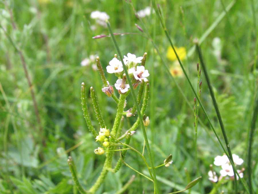 IMG_3200aa