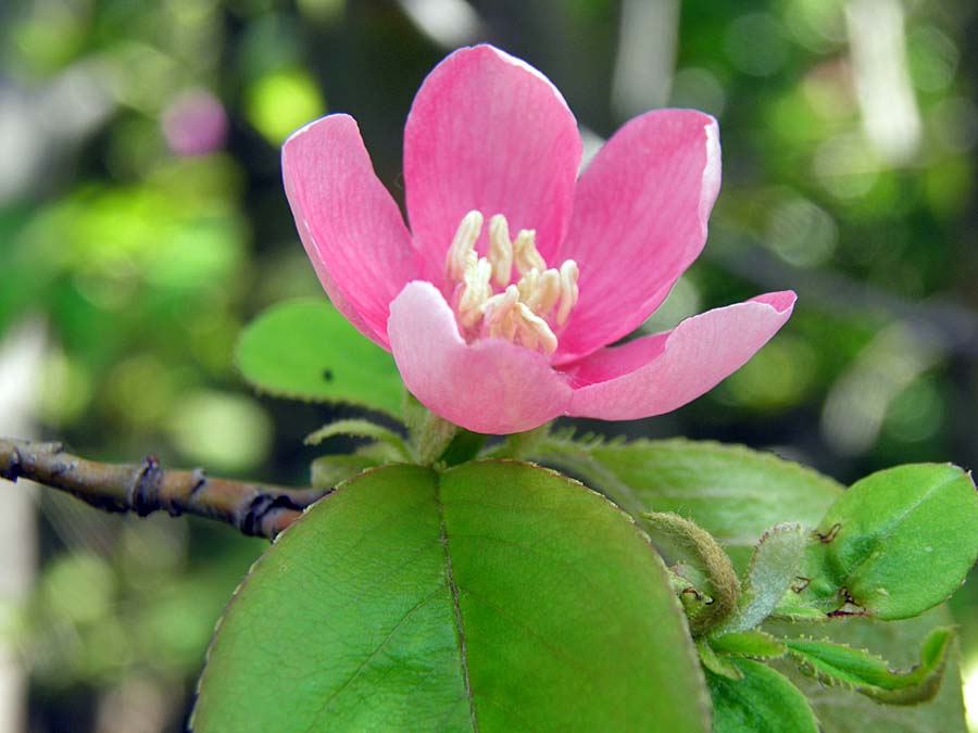 P4240011aa