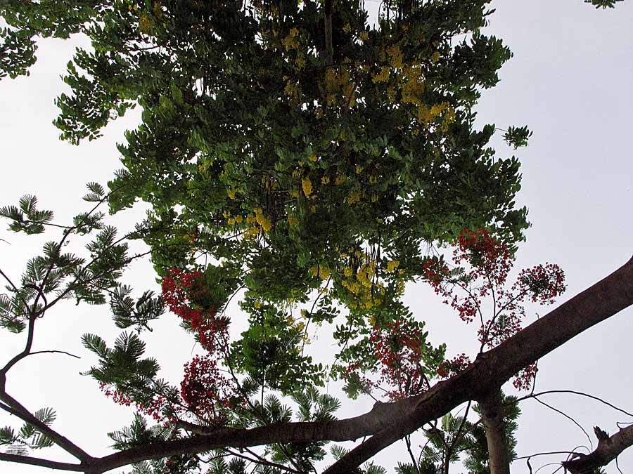 IMG_6908aa