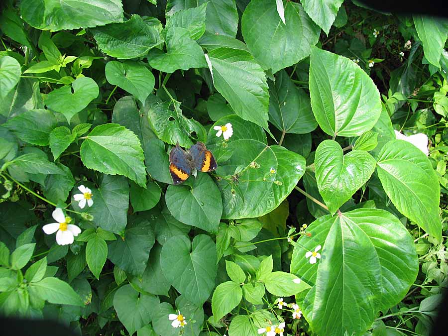IMG_4754aa