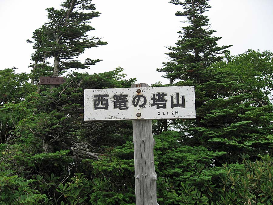 IMG_2694aa