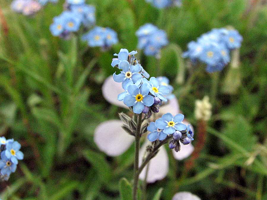 zzIMG_3390