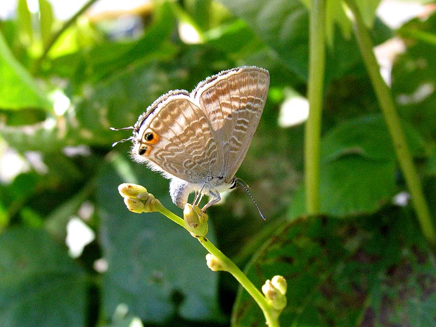 zzIMG_9328