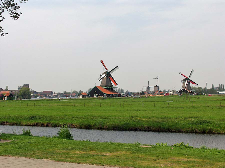 IMG_6367aa