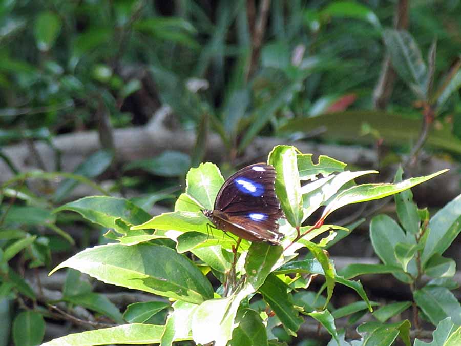 IMG_4273aa