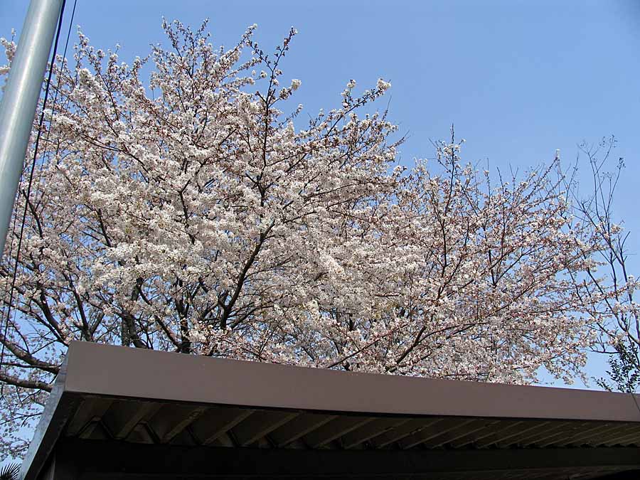 IMG_5455aa