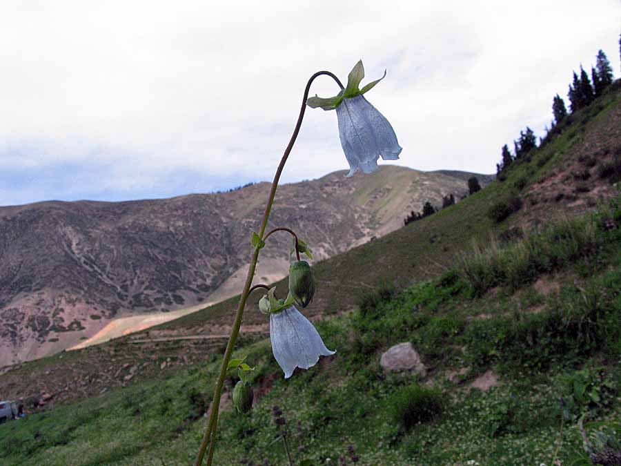zzIMG_3913