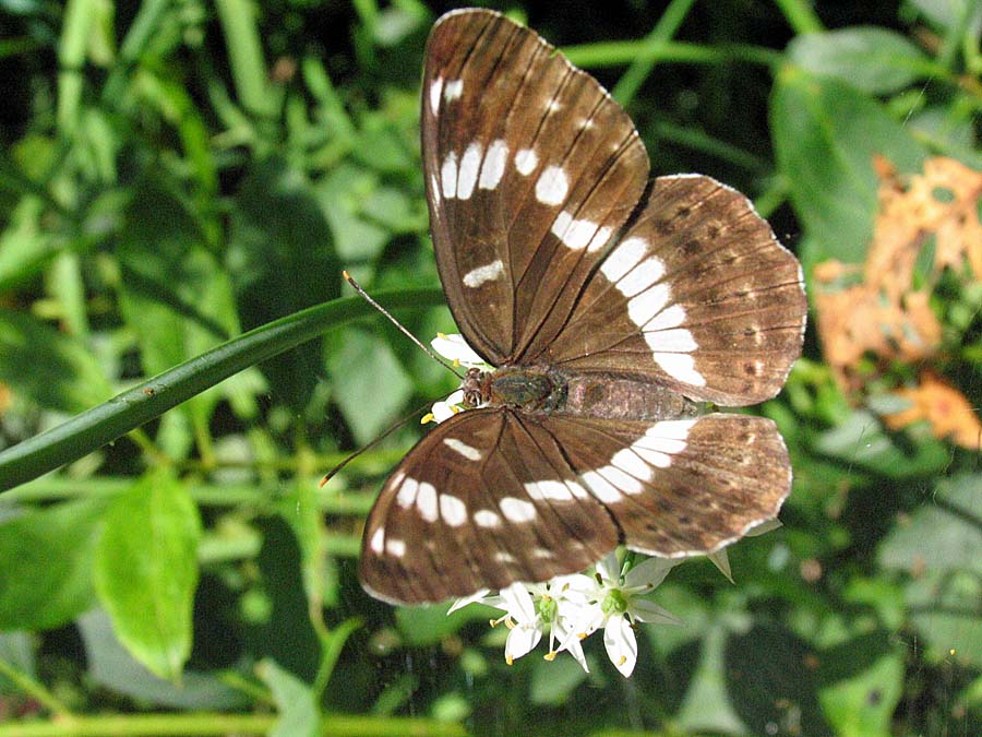 IMG_9682aa