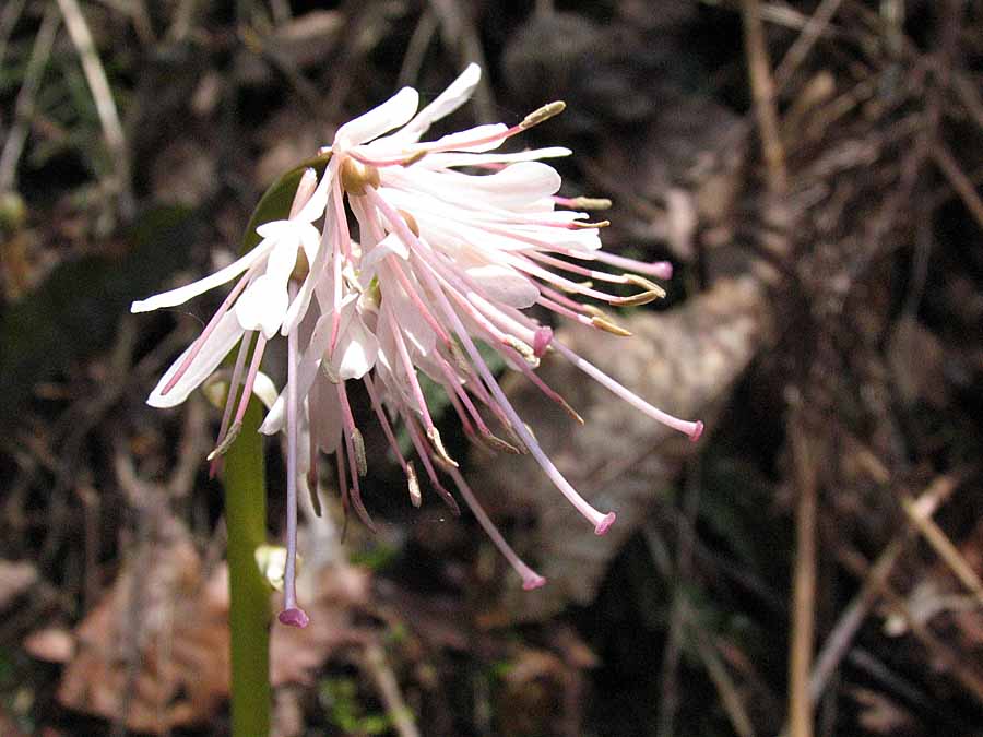 IMG_5703aa