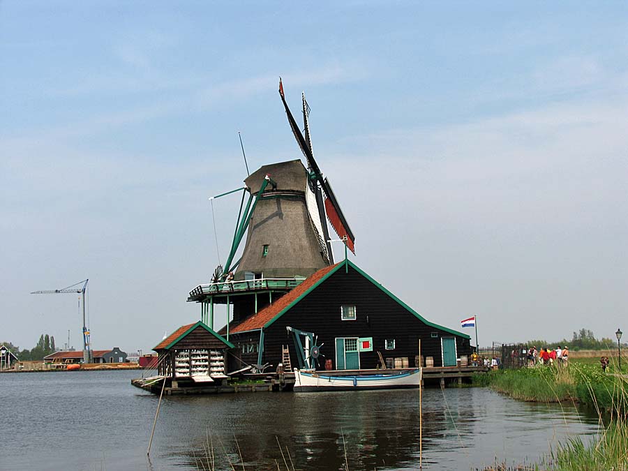 IMG_6377aa