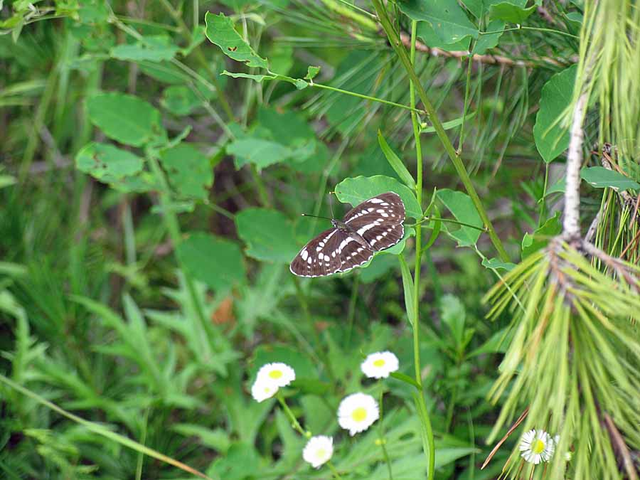 IMG_1792aa