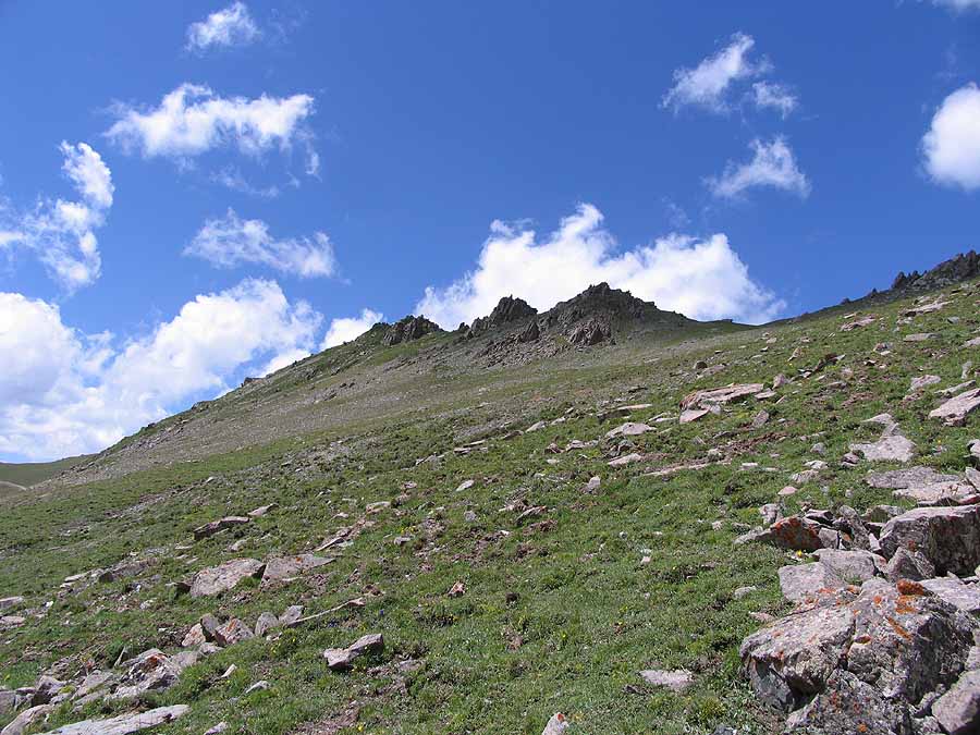 zzIMG_7331