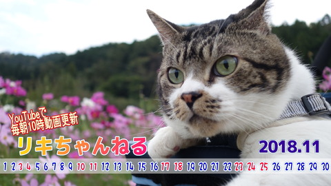 1 11月カレンダーシンプルタイプ