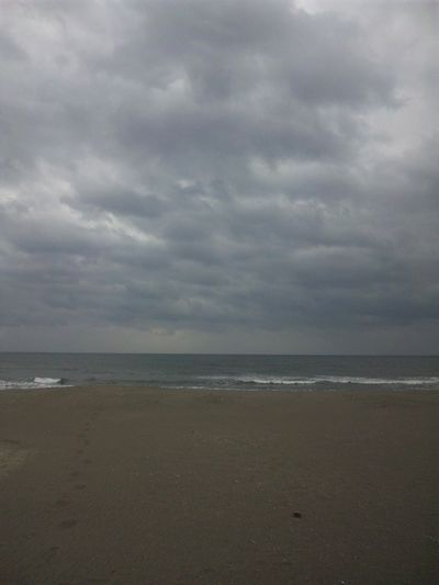 翌朝の海です