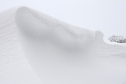 s-DSC_8357