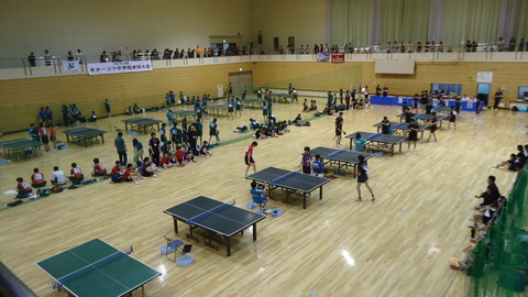 DSC07834
