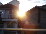 DSC05527