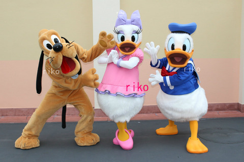 Disney store ピンバッジセット ドナルド　デイジー　プルート　未開封 Disney store ピンバッジセット ドナルド デイジー プルート 未開封