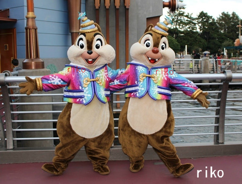 訳あり 昔のTDS ポートディスカバリー チップとデール トートバッグ 訳あり 昔のTDS ポートディスカバリー チップとデール トート