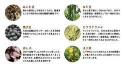 hatomugi_09
