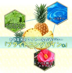セラミド1