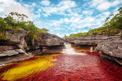 Cano_cristales_06