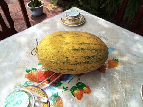 HAMIGUA_02
