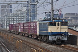 CSC_0553