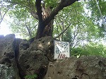 鎌倉トレイル