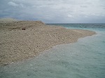 さんごの島