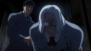 41