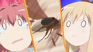 赤座 あかり、歳納 京子2