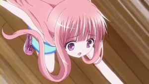 41