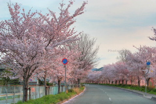 dc041707_8_9_tonemapped
