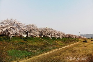 DJI_0297