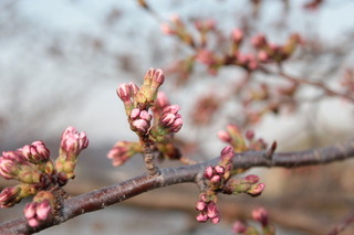 dc040421