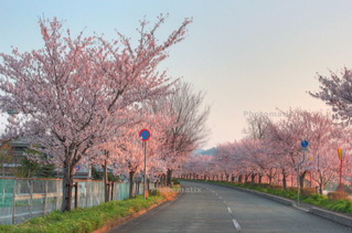 dc041209_10_11_tonemapped