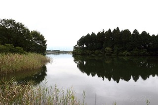 7J3A2344