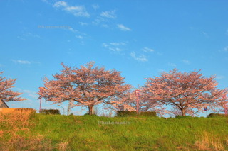 dc041804_5_6_tonemapped