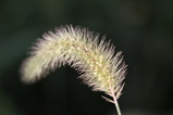 conv0002