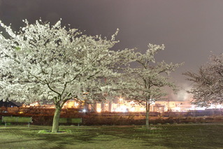 dc041308_09_10_fused
