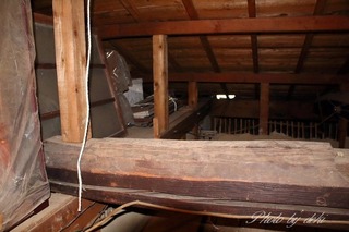IMG_0227