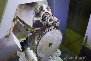 DSC_0005-1