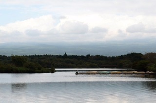 IMG_5610