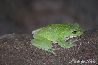 IMG_9658