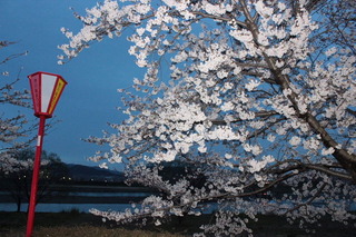 dc041121
