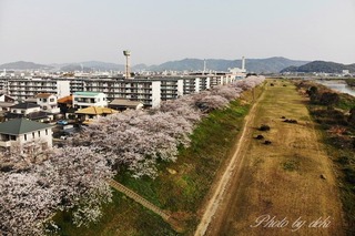 DJI_0292