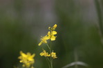 dc051376