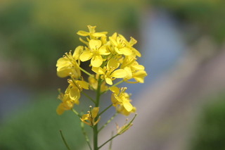 dc042820